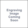 3M Littmann Model 3100 Electronic Stethoscope